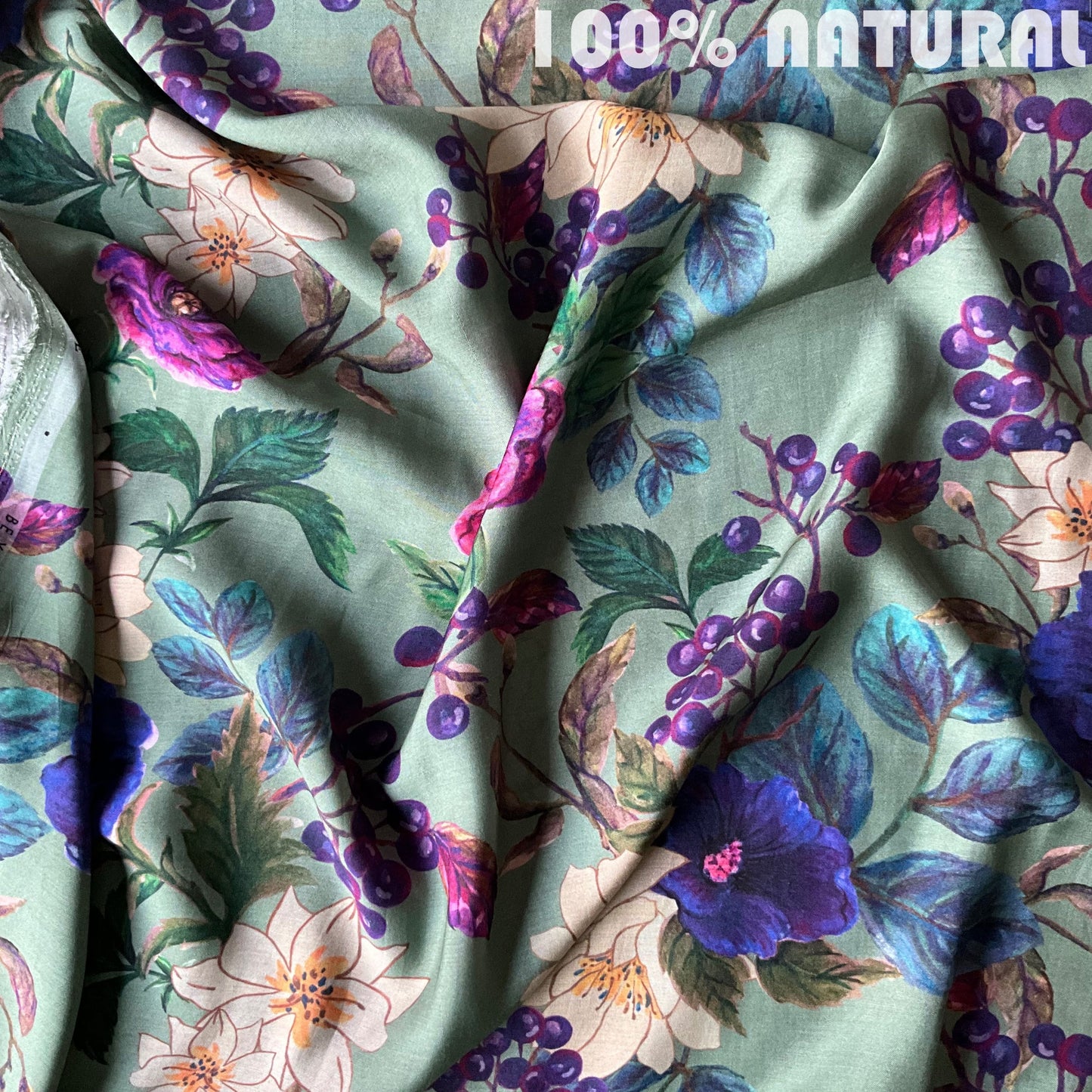 Botanical Whispers